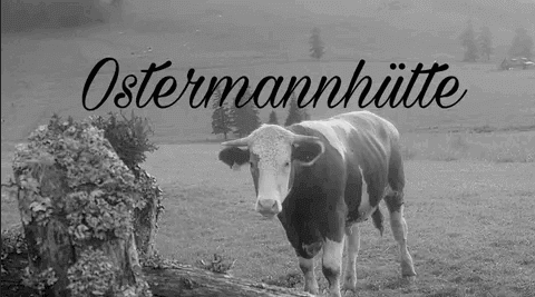 Logo - Ostermannhütte - Teichalm - Steiermark